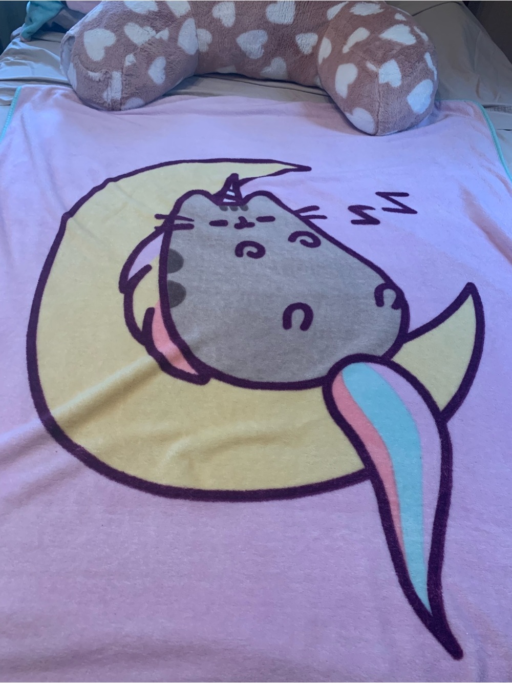 Pusheen teal Cat Burger & Fries and unicorn throw and heart husband pillow - Picture 3 of 4